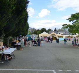 forum des associations colpo
