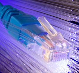 fibre
