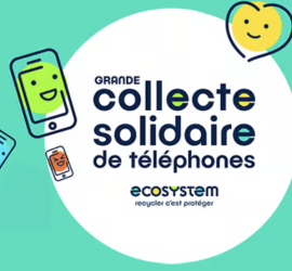Collecte TP