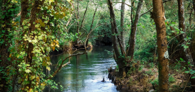 ruisseau