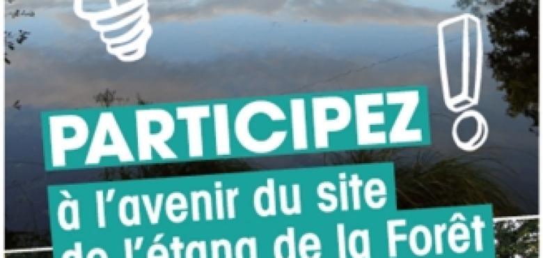 Etang de la forêt