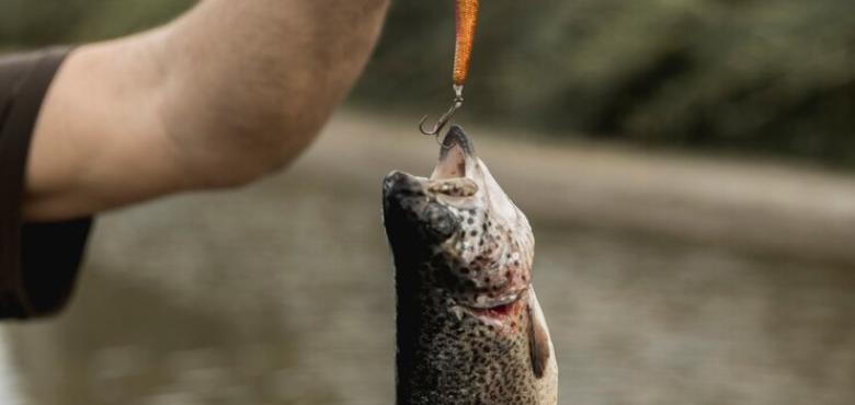 Concours de pêche