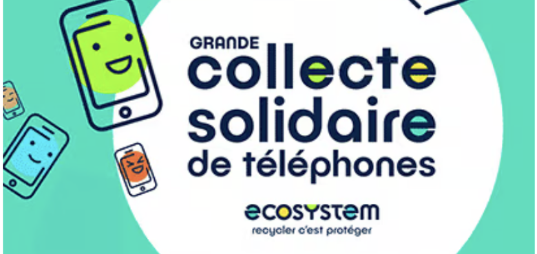 Collecte TP
